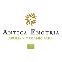 antica-enotria